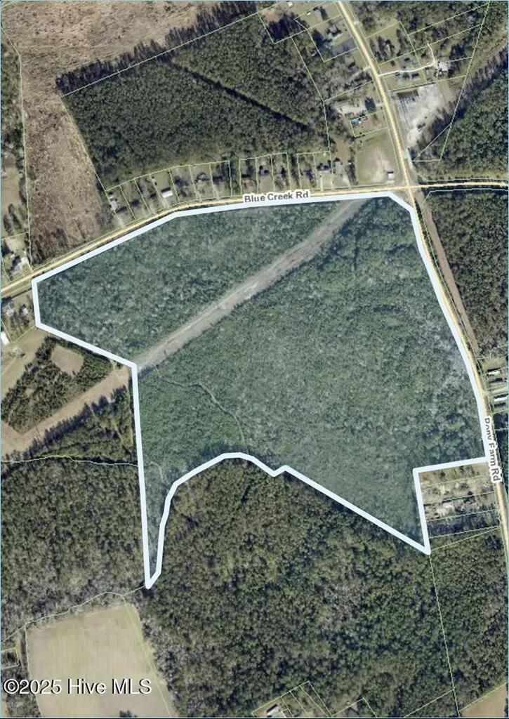 0000 Blue Creek Road Jacksonville NC 28540