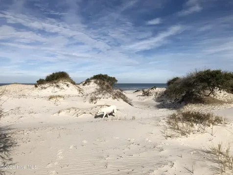 2976 Cedar Island Road Cedar Island NC 28520