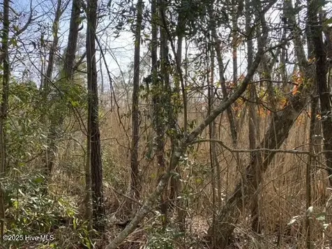 00000 Wades Point Road Elizabeth City NC 27909