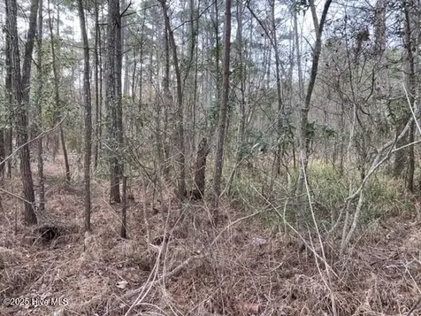 00000 Wades Point Road Elizabeth City NC 27909