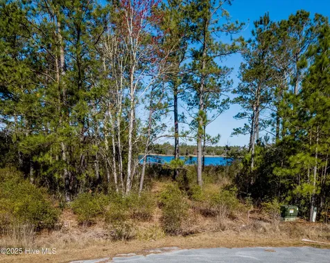 859 Winchester Way Merritt NC 28556