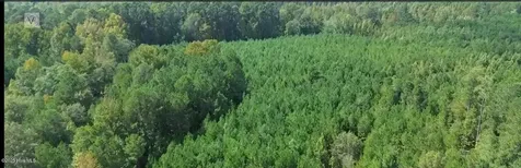 16369 Palmer Road Marston NC 28363