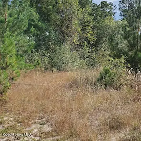 16369 Palmer Road Marston NC 28363
