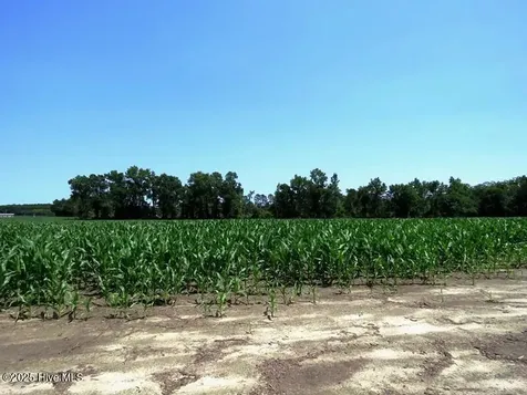 Tbd Highway 71 Red Springs NC 28377