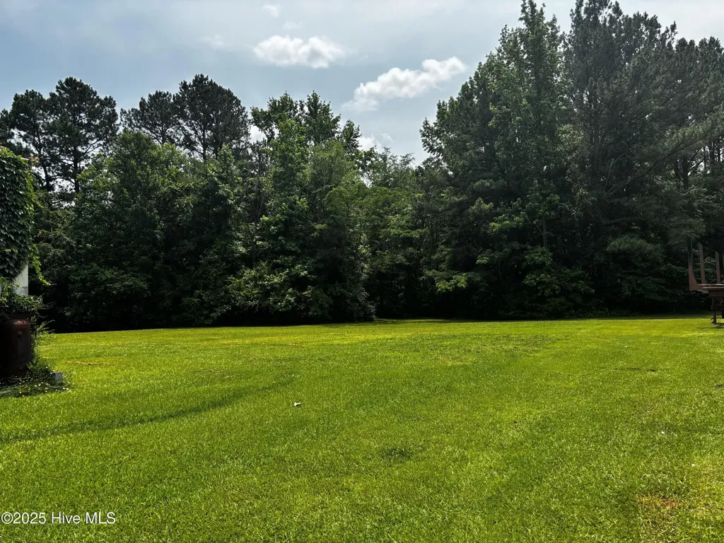 157 Gibbs Avenue Hollister NC 27844