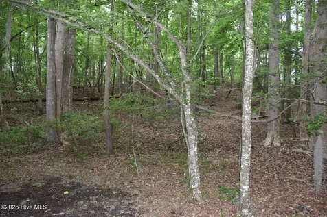 Lot 6 River Road Blounts Creek NC 27814