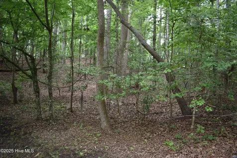 Lot 6 River Road Blounts Creek NC 27814