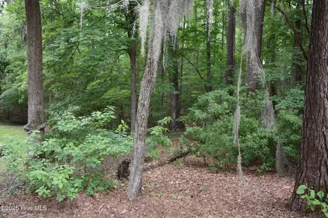 Lot 6 River Road Blounts Creek NC 27814