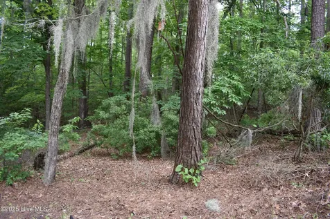 Lot 6 River Road Blounts Creek NC 27814