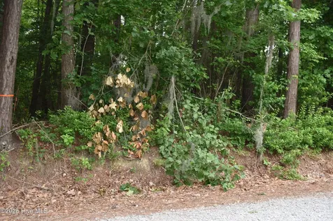 Lots 2 & 3 River Road Blounts Creek NC 27814