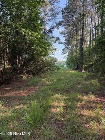 Near 8745 Swamp Fox Highway E Tabor City NC 28463
