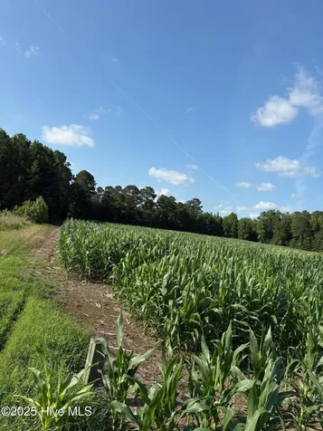 Near 8745 Swamp Fox Highway E Tabor City NC 28463