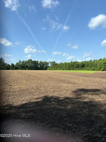 Near 8745 Swamp Fox Highway E Tabor City NC 28463