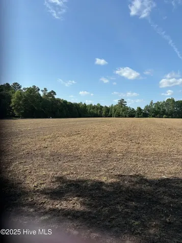 Near 8745 Swamp Fox Highway E Tabor City NC 28463