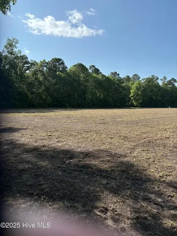 Near 8745 Swamp Fox Highway E Tabor City NC 28463