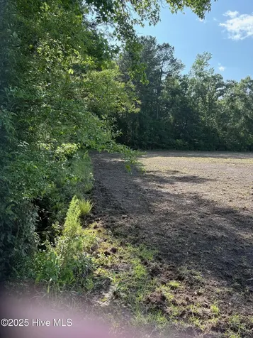Near 8745 Swamp Fox Highway E Tabor City NC 28463