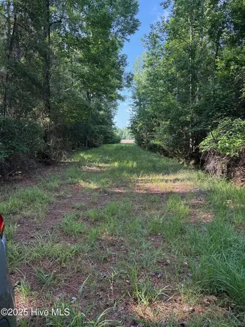 Near 8745 Swamp Fox Highway E Tabor City NC 28463