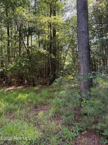 Near 8745 Swamp Fox Highway E Tabor City NC 28463