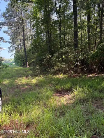 Near 8745 Swamp Fox Highway E Tabor City NC 28463
