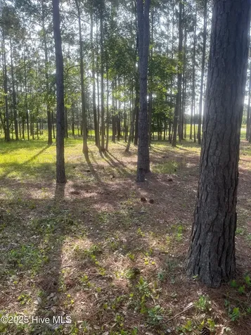 949 Fifty Lakes Drive Southport NC 28461