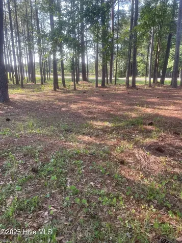 949 Fifty Lakes Drive Southport NC 28461