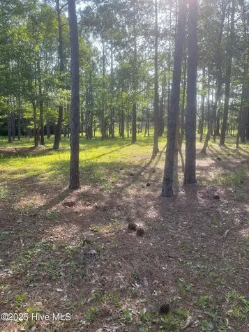 949 Fifty Lakes Drive Southport NC 28461