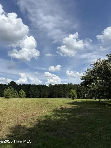 5369 Dilda Church Road Fountain NC 27829