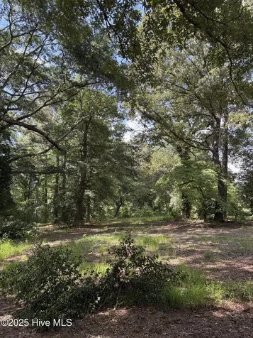 5369 Dilda Church Road Fountain NC 27829