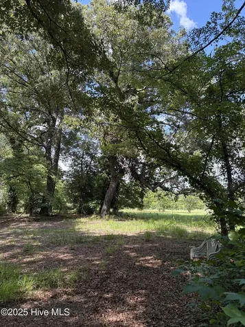 5369 Dilda Church Road Fountain NC 27829