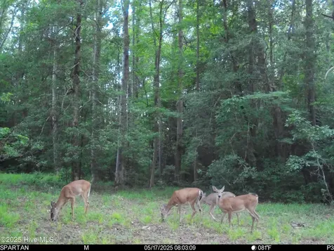 5369 Dilda Church Road Fountain NC 27829