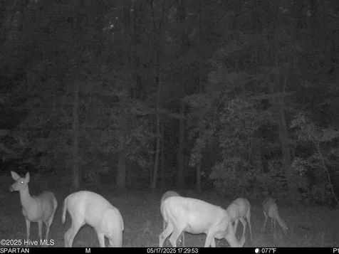 5369 Dilda Church Road Fountain NC 27829