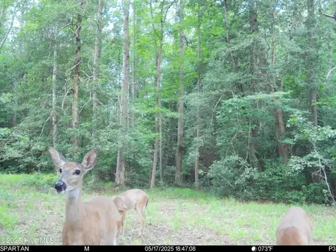 5369 Dilda Church Road Fountain NC 27829