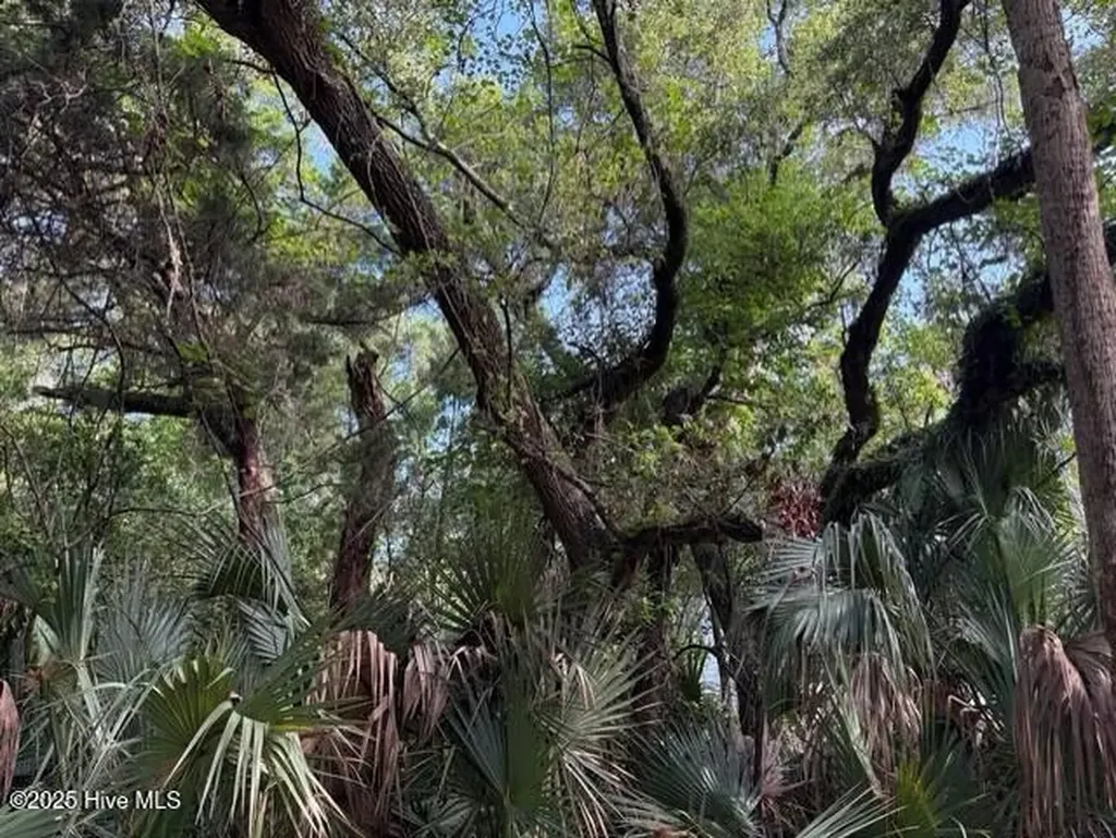 207 Muscadine Wynd Bald Head Island NC 28461