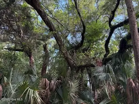 207 Muscadine Wynd Bald Head Island NC 28461