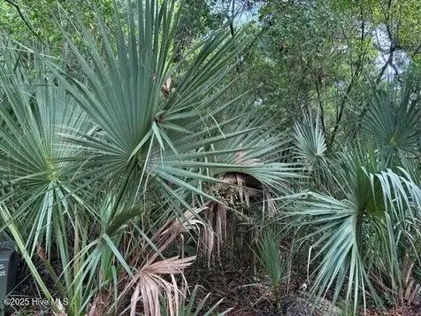 207 Muscadine Wynd Bald Head Island NC 28461