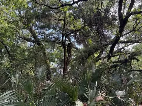 207 Muscadine Wynd Bald Head Island NC 28461