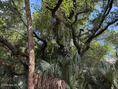 207 Muscadine Wynd Bald Head Island NC 28461