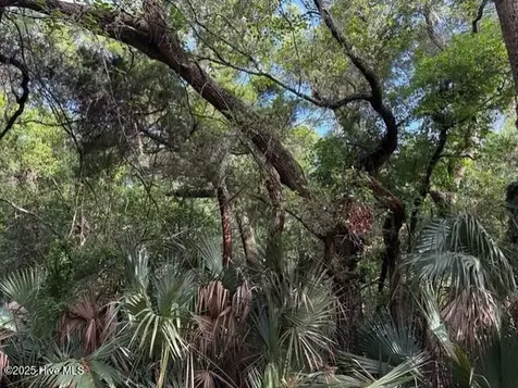 207 Muscadine Wynd Bald Head Island NC 28461