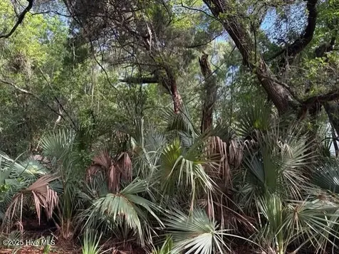 207 Muscadine Wynd Bald Head Island NC 28461