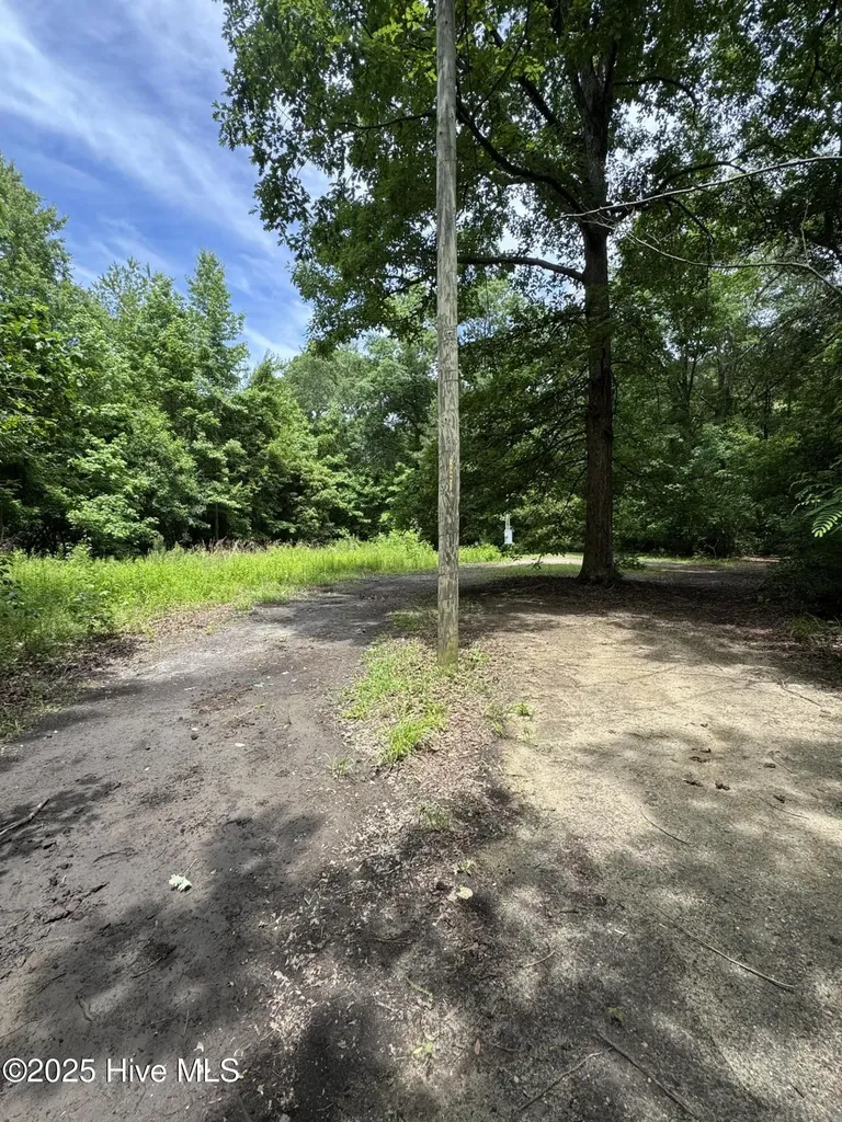 2526 Moulton Drive La Grange NC 28551