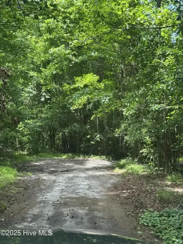 2526 Moulton Drive La Grange NC 28551