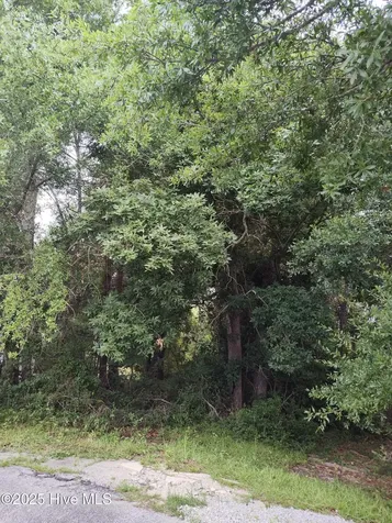 106 Taylor Lane Hubert NC 28539
