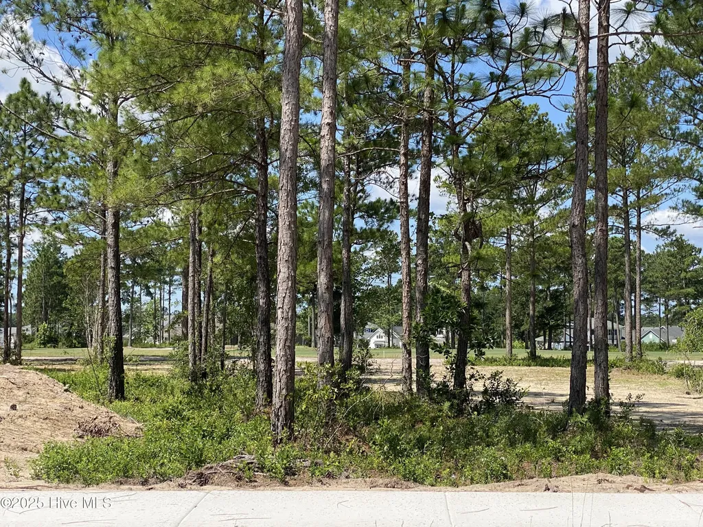 8743 Compass Pointe West Wynd NE Leland NC 28451