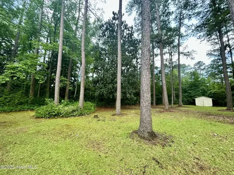 1203 Franklin Avenue Laurinburg NC 28352
