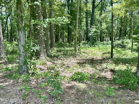 Lot 70 Winfield Lane Belhaven NC 27810