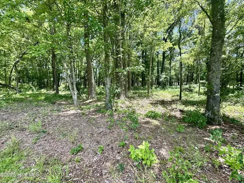 Lot 70 Winfield Lane Belhaven NC 27810