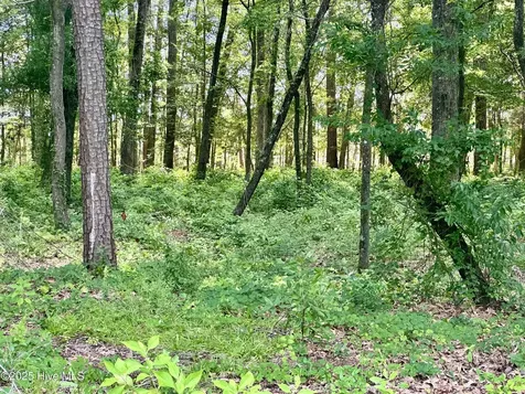 Lot 70 Winfield Lane Belhaven NC 27810