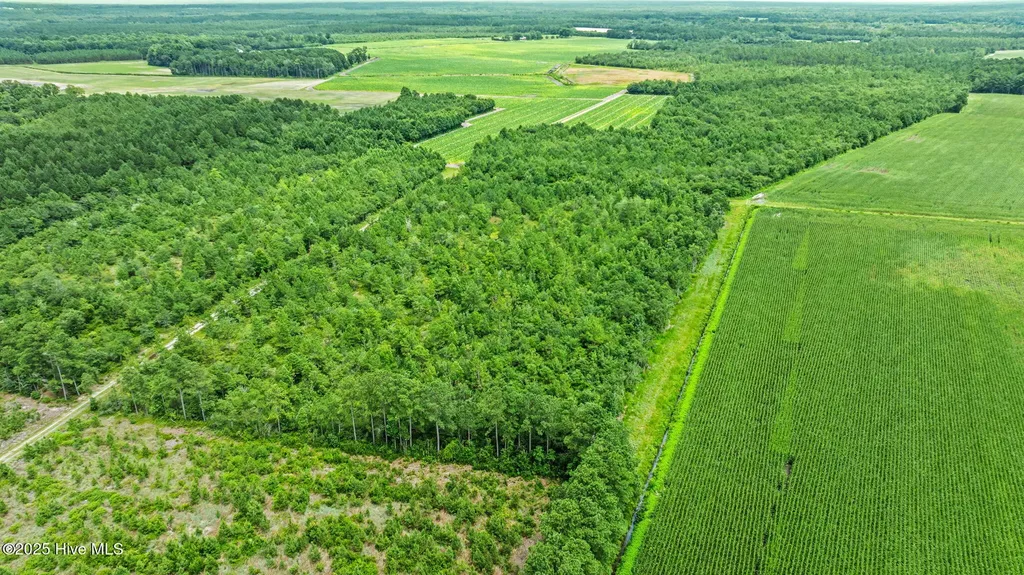 0 Green Sea Road Garland NC 28441