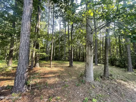112 Chickory Lane Minnesott Beach NC 28510