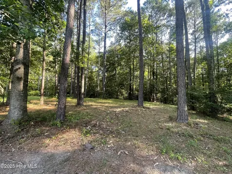 112 Chickory Lane Minnesott Beach NC 28510